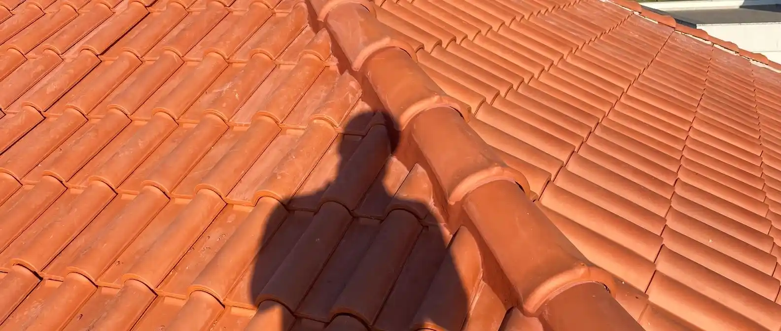 Second Image